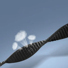 NYLONSKI PAŠEK ZA XIAOMI MI BAND 8 / 9 / NFC HEYBAND NYLON ČRN.